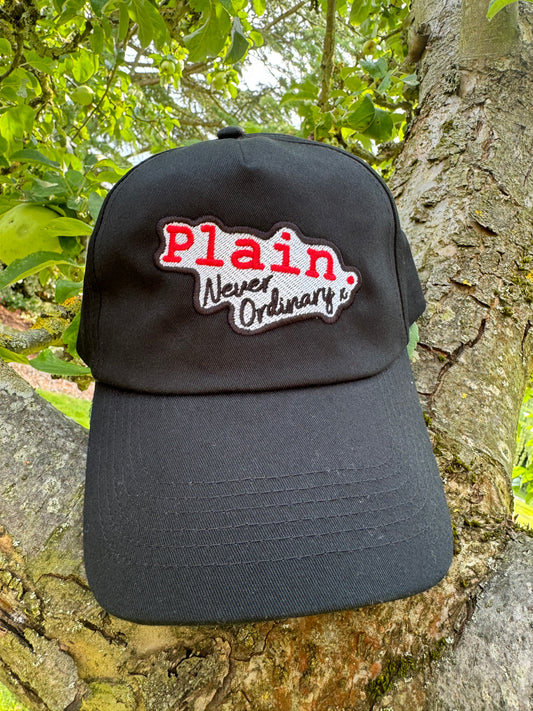 THE “ORIGINAL LOGO’ DAD CAP