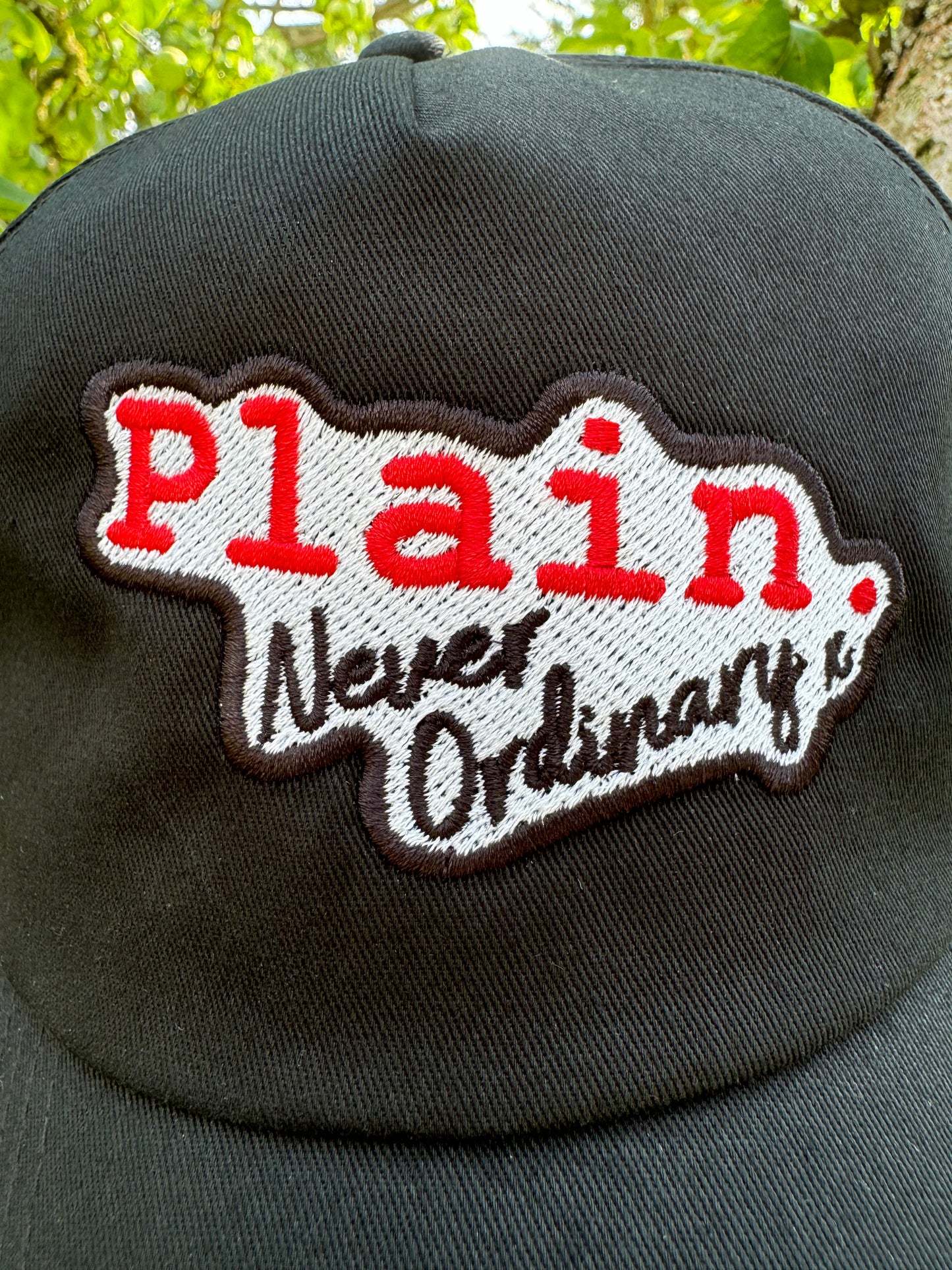 THE “ORIGINAL LOGO’ DAD CAP